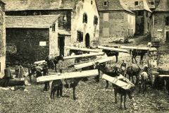 396-salardu-2